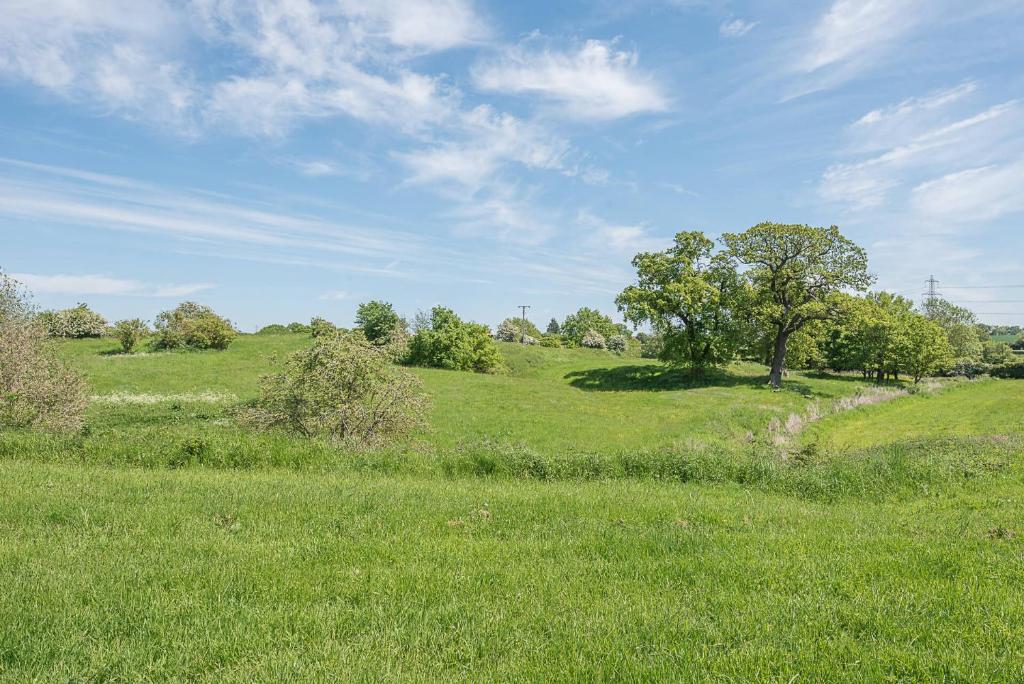 Geoff's Rest at Pond Hall Farm, Hadleigh photo 8