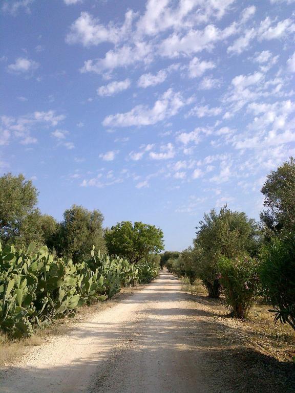 Surrounding environment