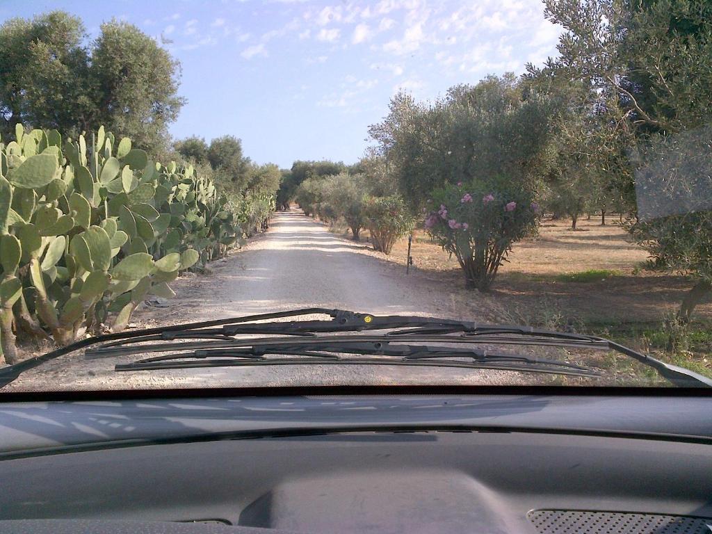 Surrounding environment