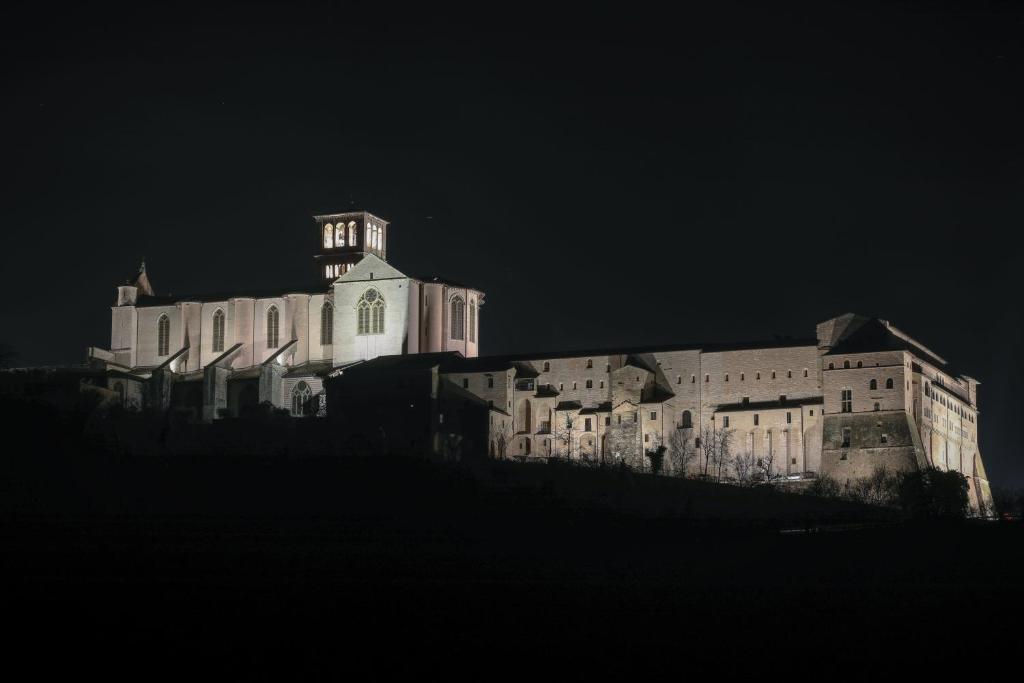 La Casa Tra Gli Ulivi - 4