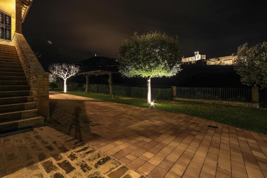 La Casa Tra Gli Ulivi - 2