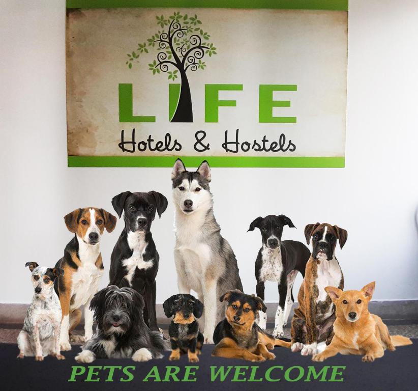 Life Hostel Slovenia photo