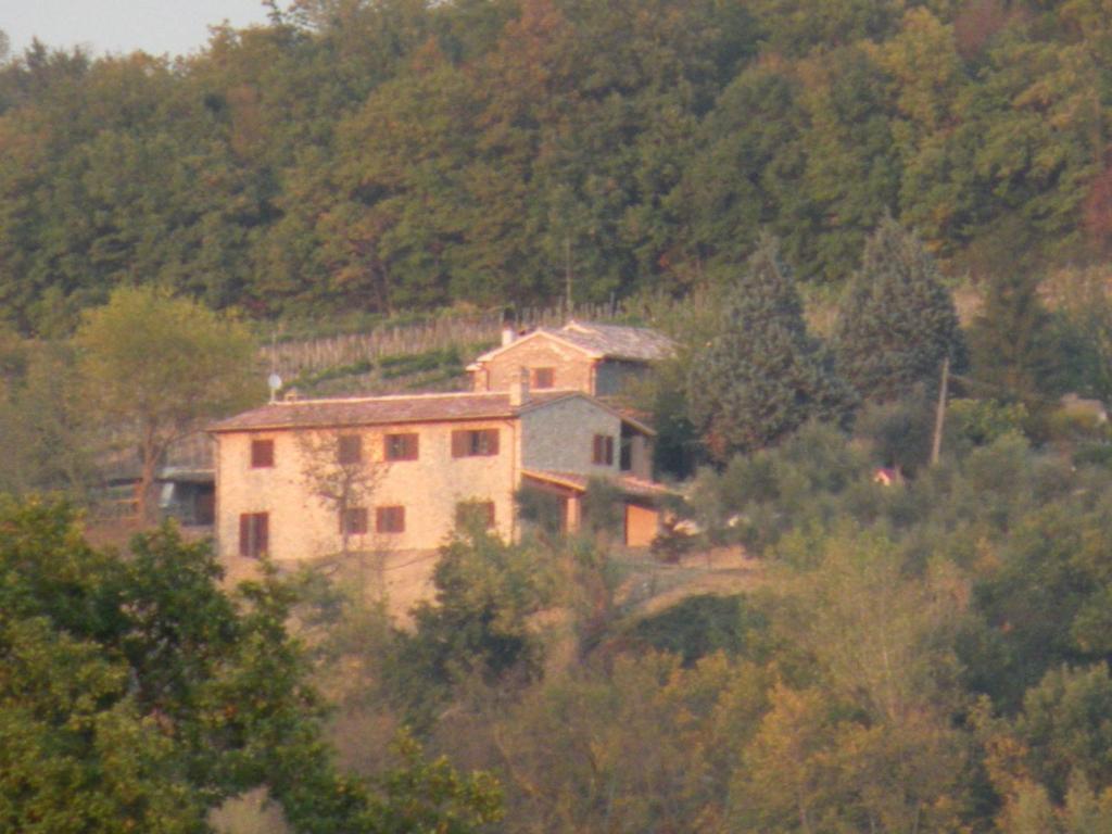 Panoramic farmhouse with swimming pool