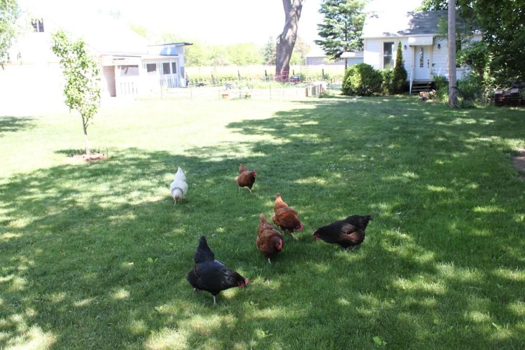 Green Oaks B&B photo