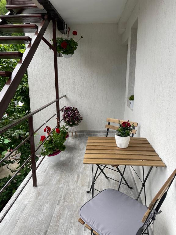 Casa Shiro photo