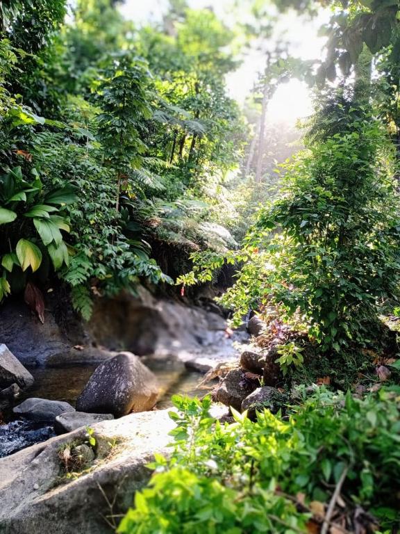 Surrounding environment