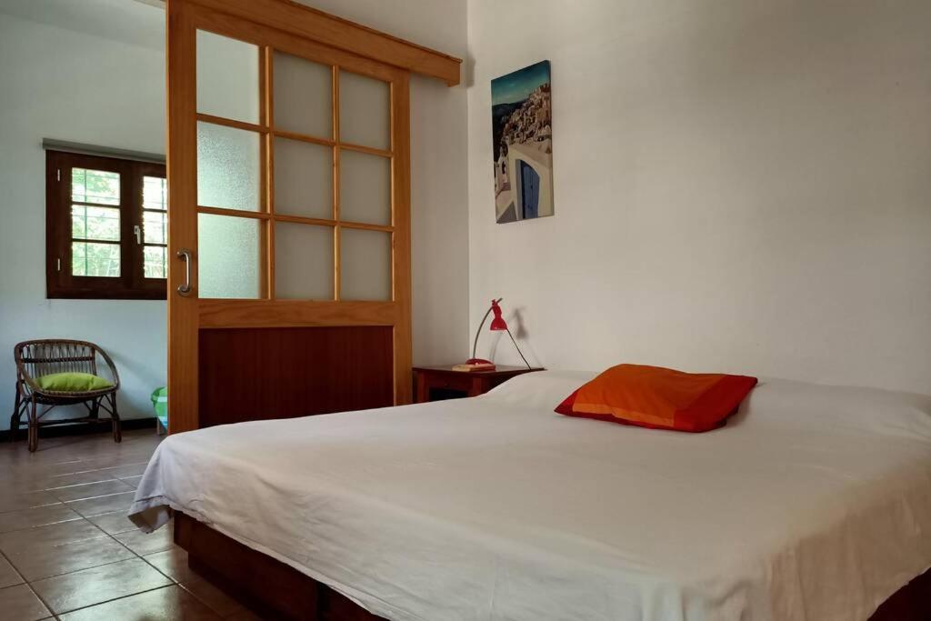 Apartamento-Bungalow con jardín y garaje - 5