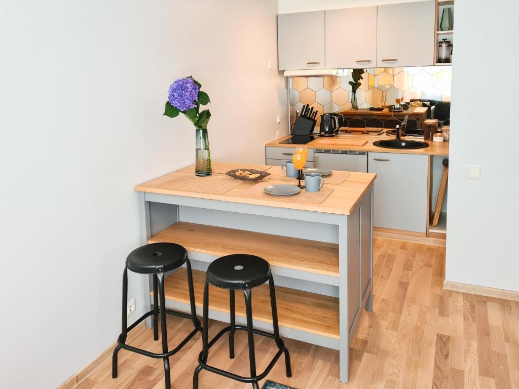 Facilities, Ohtu Poik 2 City Center basement Apartment in Parnu