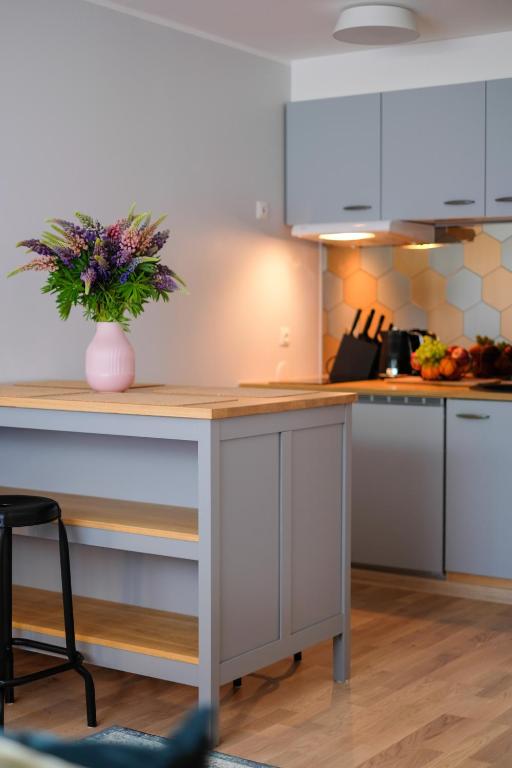 Facilities, Ohtu Poik 2 City Center basement Apartment in Parnu