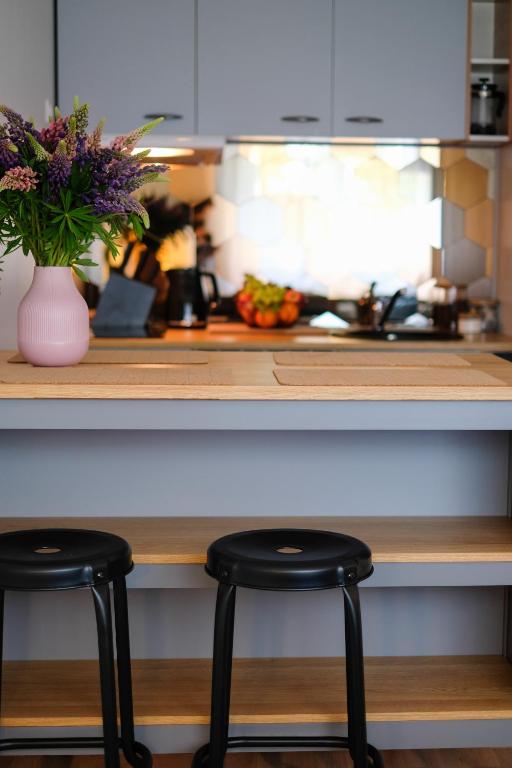 Kitchen, Ohtu Poik 2 City Center basement Apartment in Parnu