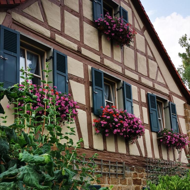 LandPension Stutzenmuhle photo