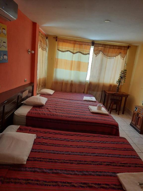 Green Monkey Hostel photo