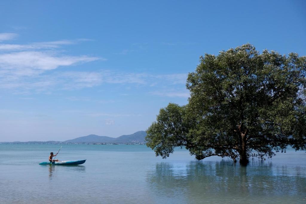 Surrounding environment