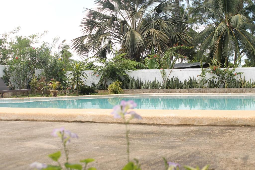 J & C Beach Resort photo