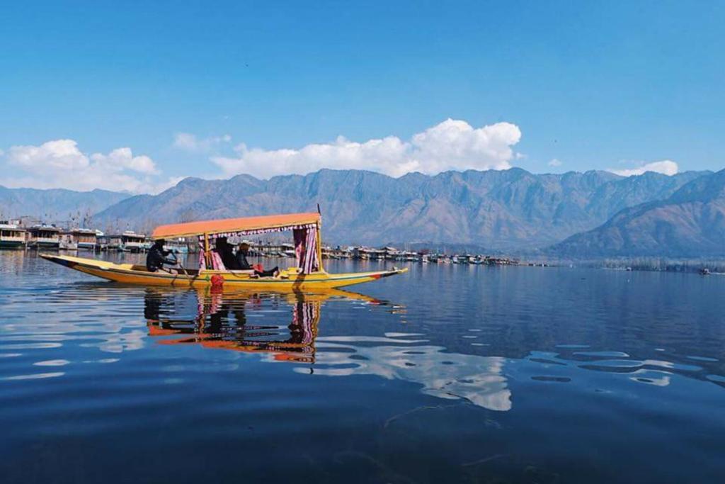 Umbrella group of House Boat photo