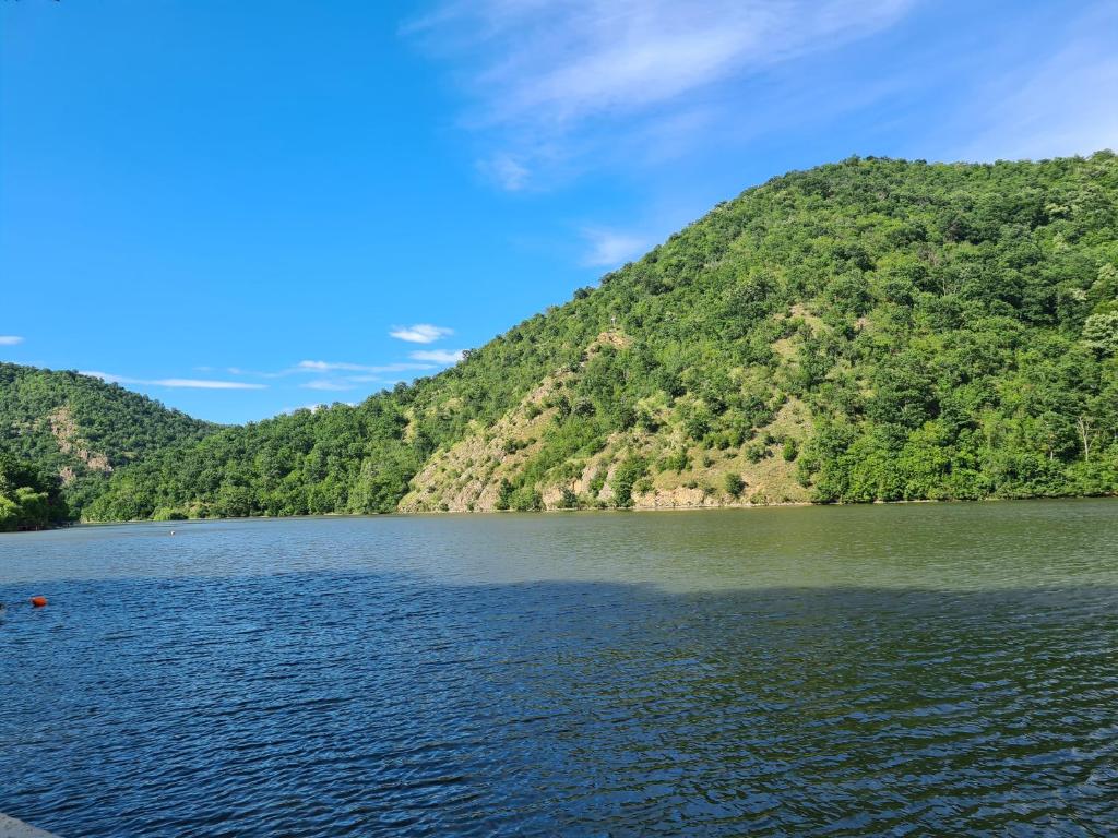 Cabana Bahna photo