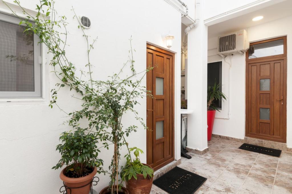 Luxurious Art Apartments photo