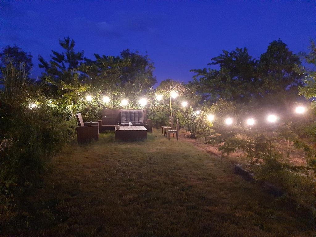 empty spot on grass Camping The Tulip no beds, Julianadorp