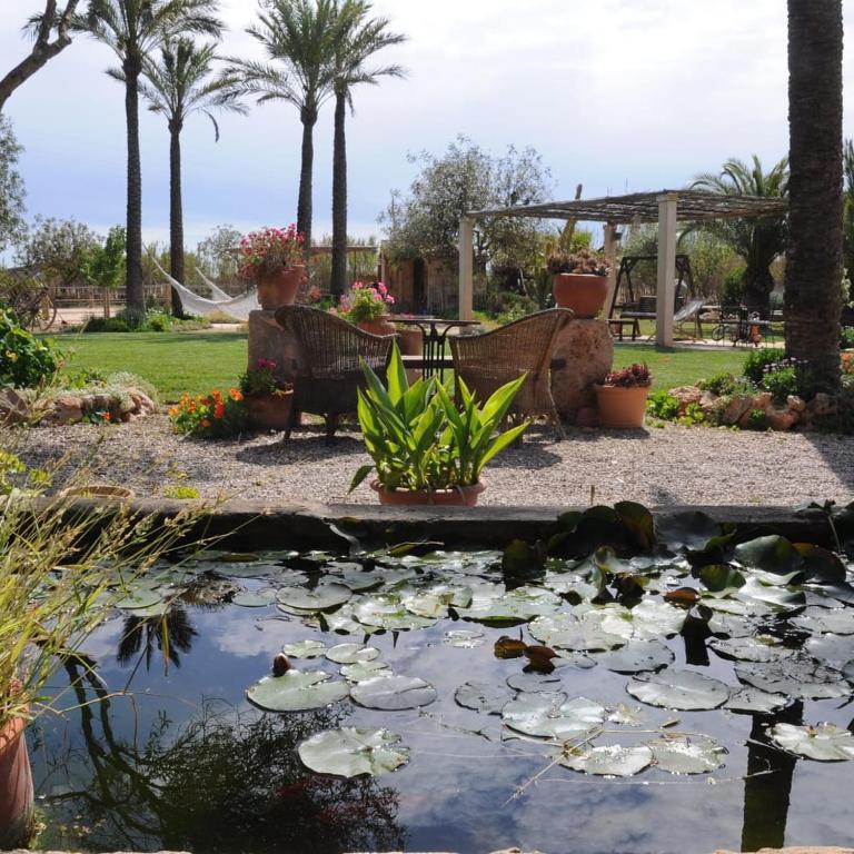 Agroturismo Finca Sant Blai - 3