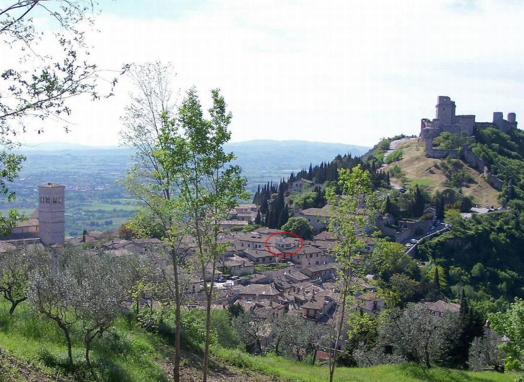 Nice Assisi - 4