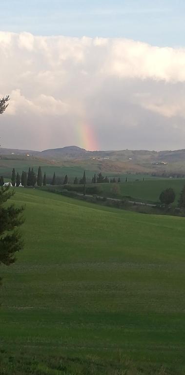 casella tarugi photo