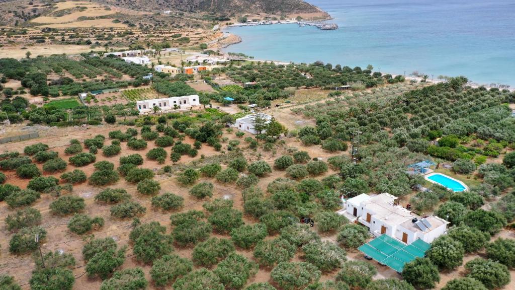 Voula's Casa Di Mare photo