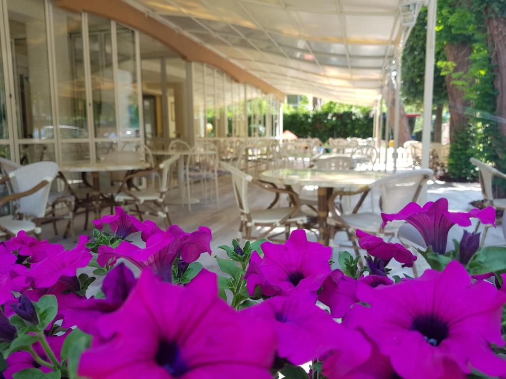 Hotel Gioiosa - 2