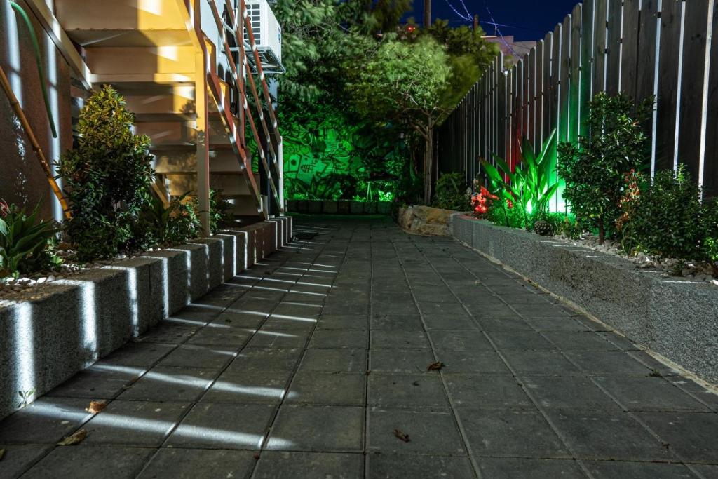 Ảnh 4