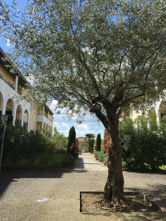 Les Capucins - 5