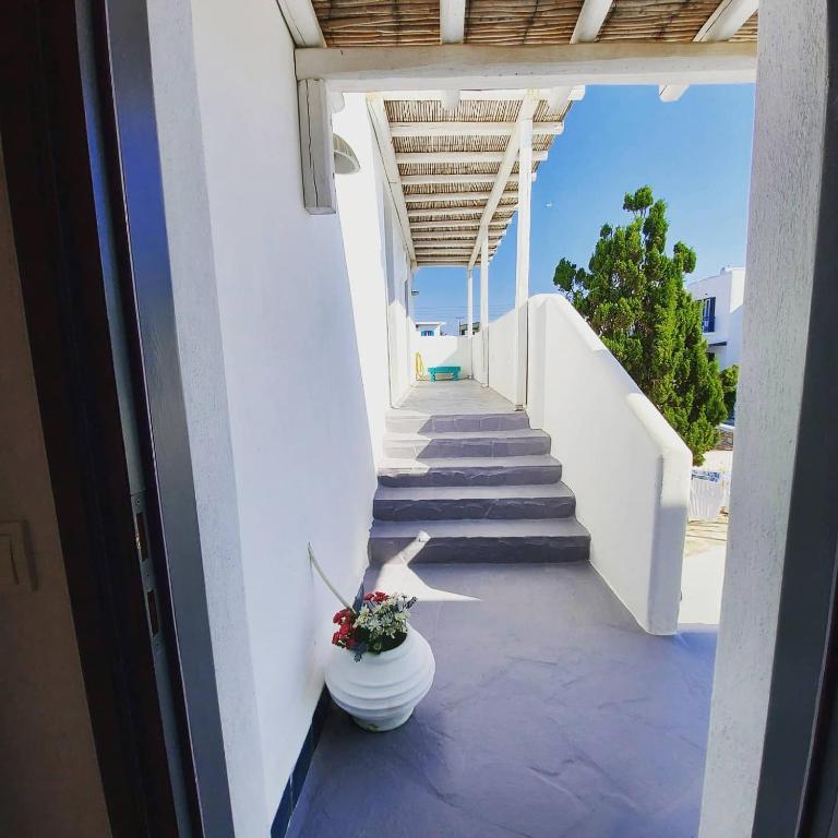 Villa Del Mar photo