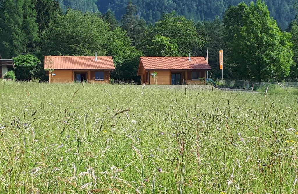 Chalet Stressless - 2