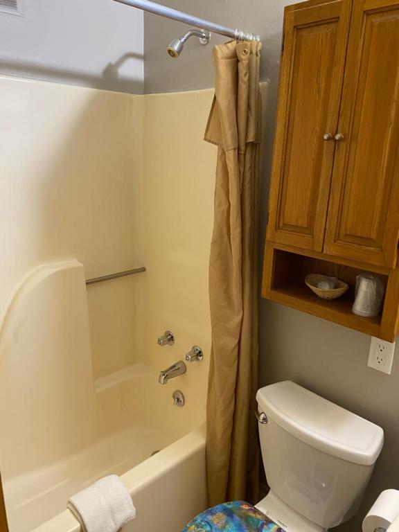 Wigwam Motel photo