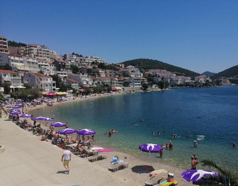 Hotel Agava photo