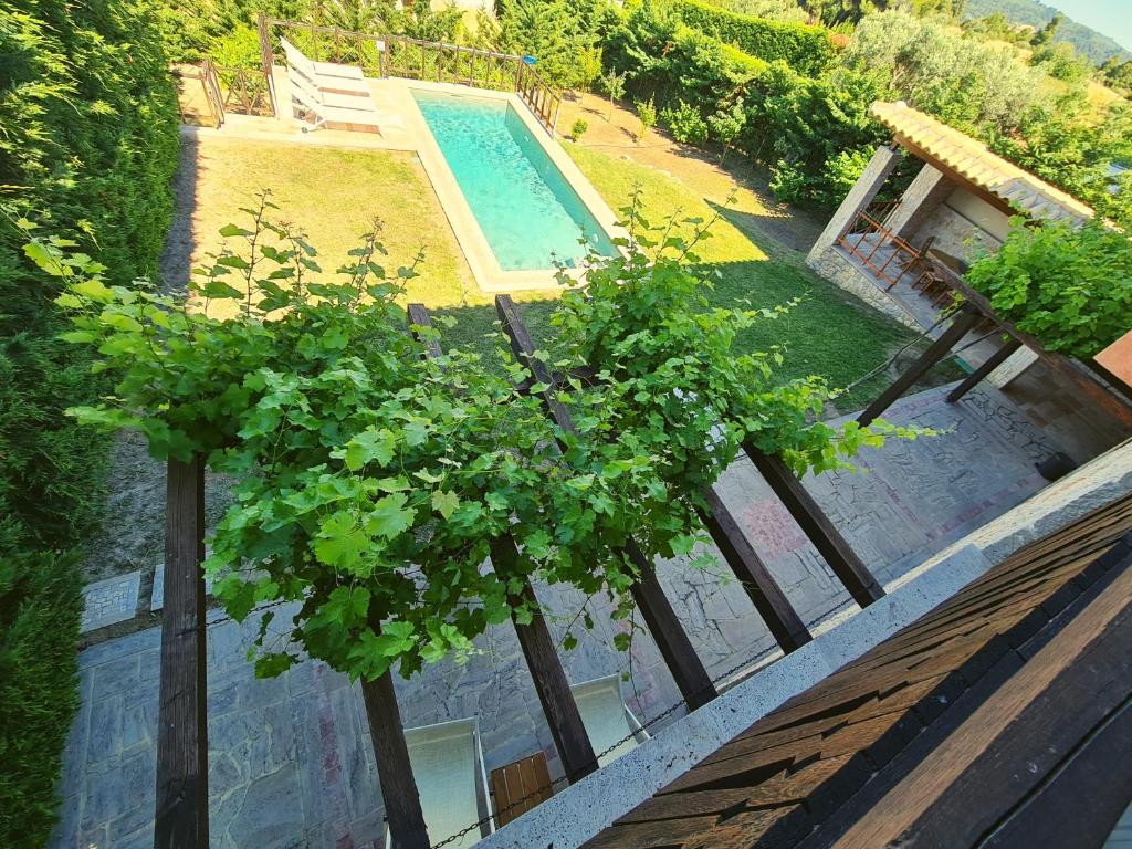 Fruit Garden Villas photo