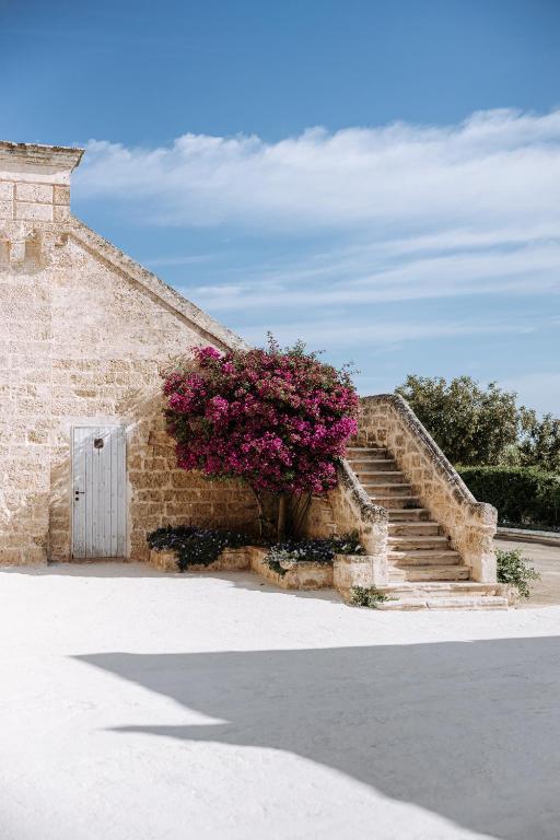 Masseria Garrappa - 4