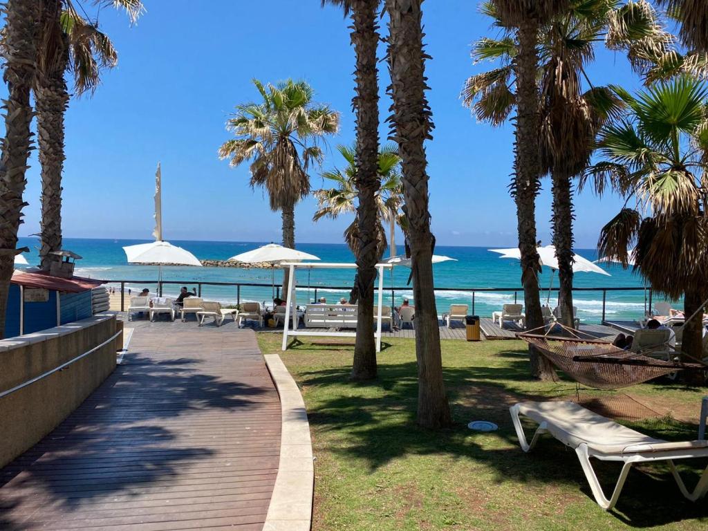Sunny sea view studio photo