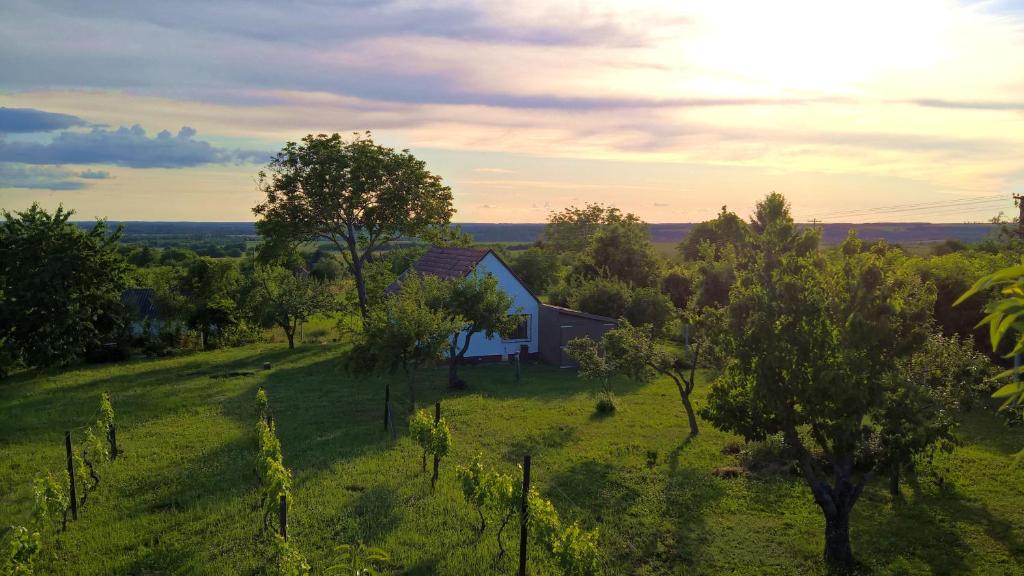 Hajnal Apartman Szigetvár, Szigetvár