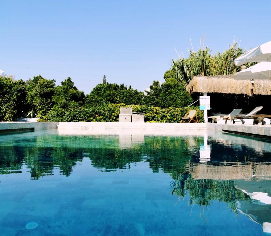 Savra Bodrum photo
