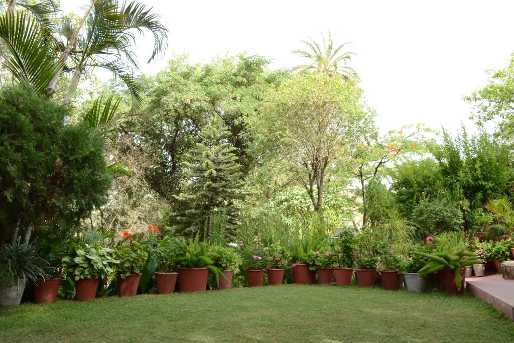 Rising Sun Retreat photo