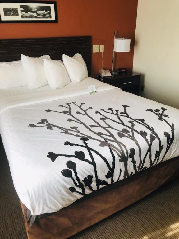 Sleep Inn North Charleston Ashley Phosphate photo