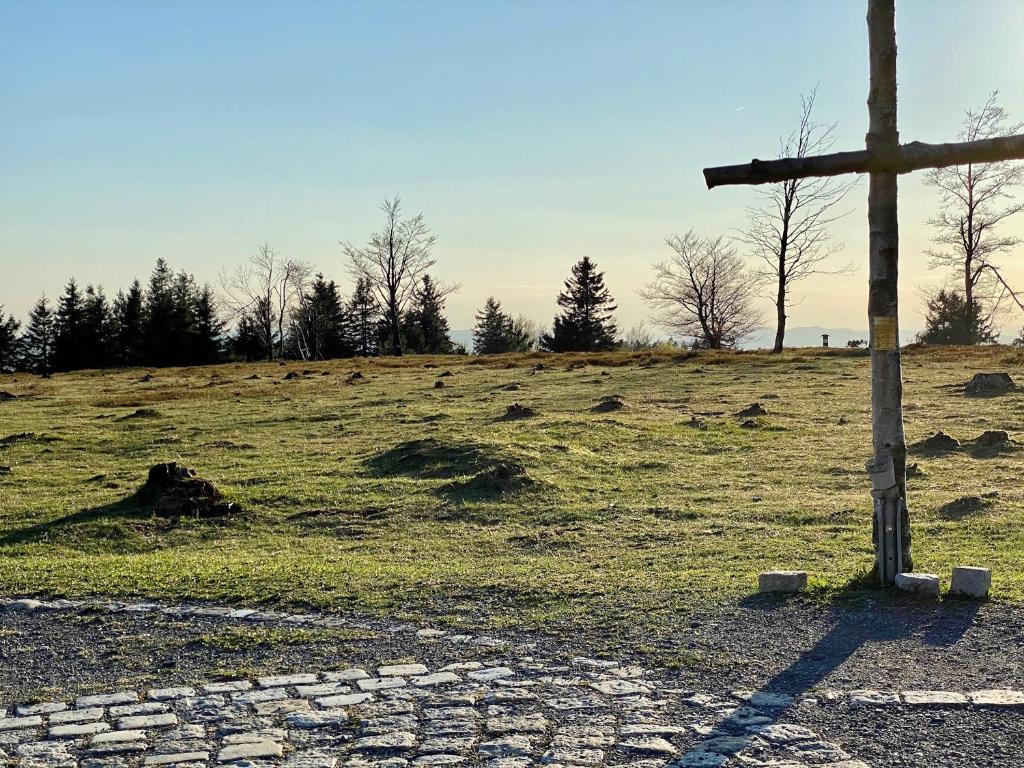 Surrounding environment