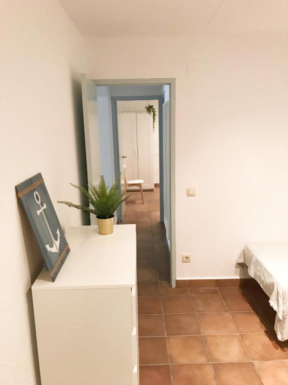 Planta baja centro Cadaques photo