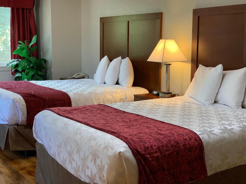 Red Carpet Inn Medford photo