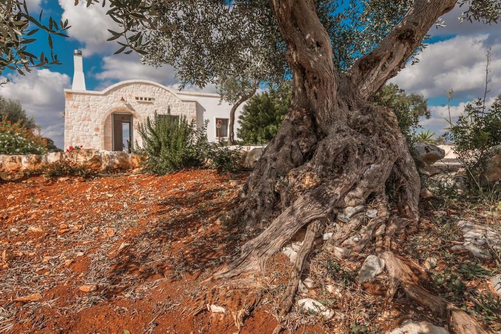 Villa Sud-Est - 5