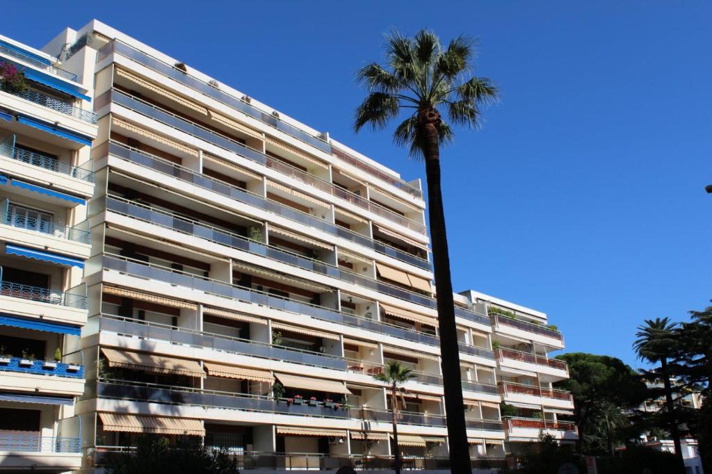 Studio luxueux et spacieux avec terrasse - 2