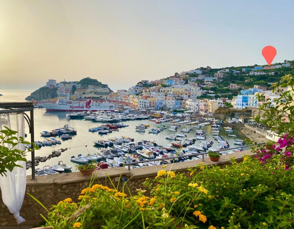 Domus Ɫ Ponza SeaView - 3
