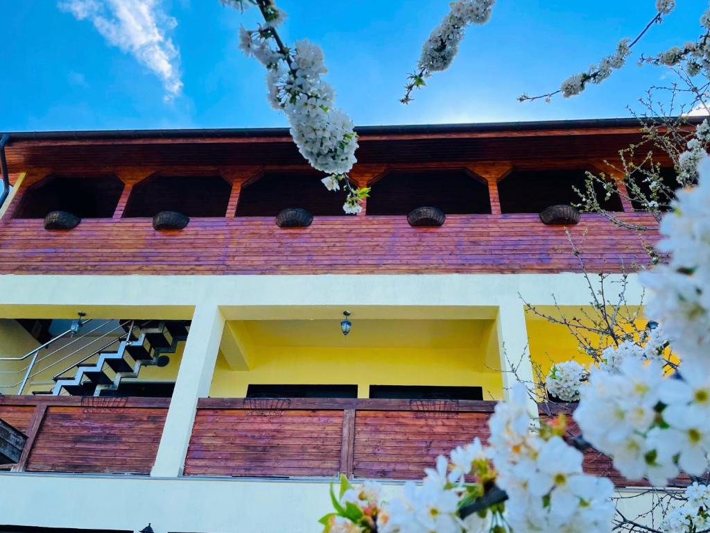 Casa Camelia — Hotel in Dubova