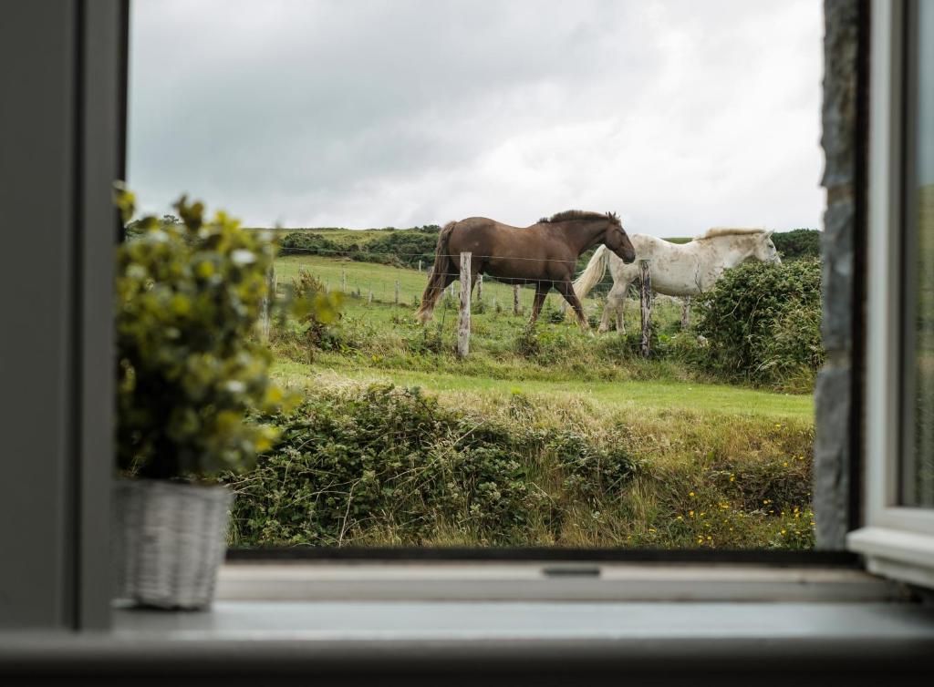 The Lodge Doolin photo