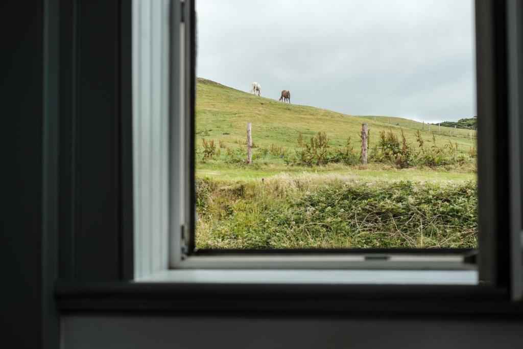 The Lodge Doolin photo