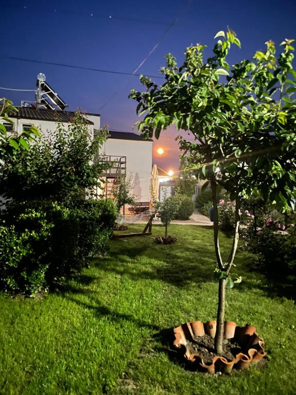 Complex Minerva — Hotel in Costinesti